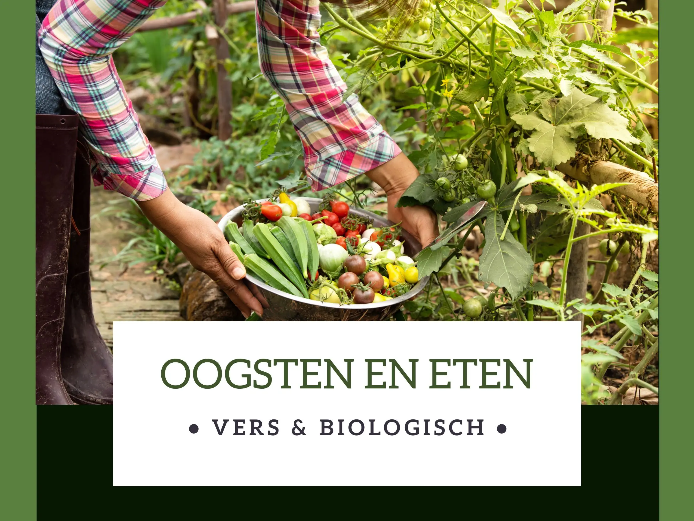 Oogsten en eten